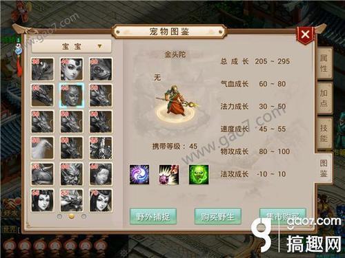 金头陀进化最佳宠物