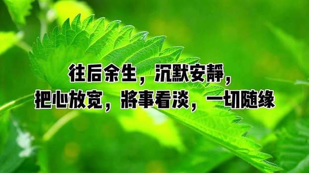 心放宽是什么意思