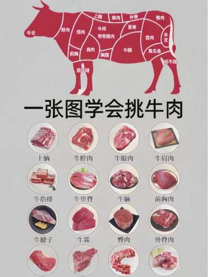 宝宝吃牛肉的最佳时间