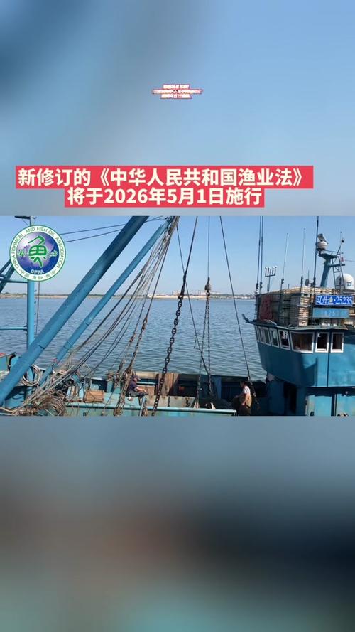 2026渔船更新改造政策