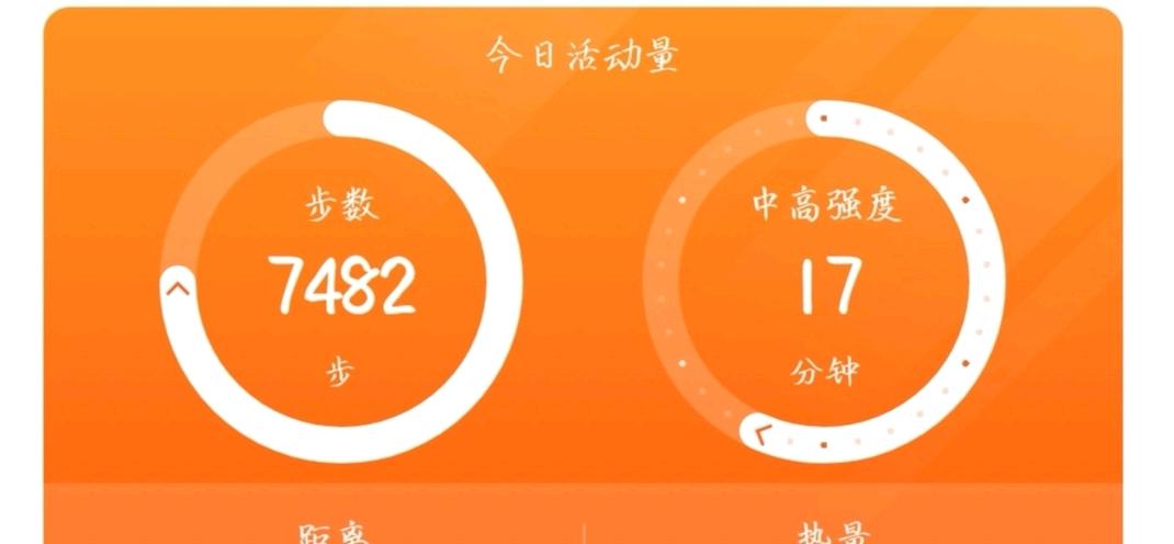 每天行走步数在哪看