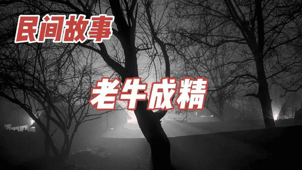 免费《民间故事》全集缩略图