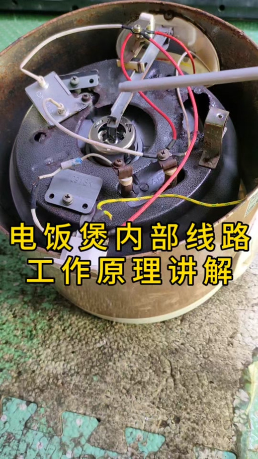 电饭煲保险丝坏了直接连上可以吗