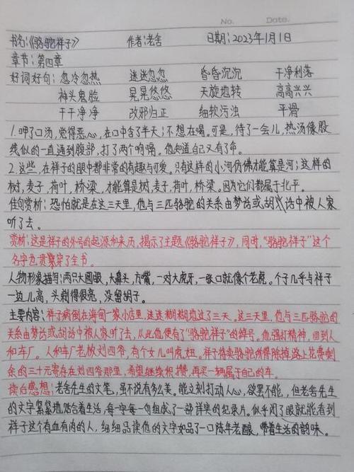 骆驼祥子好词好句