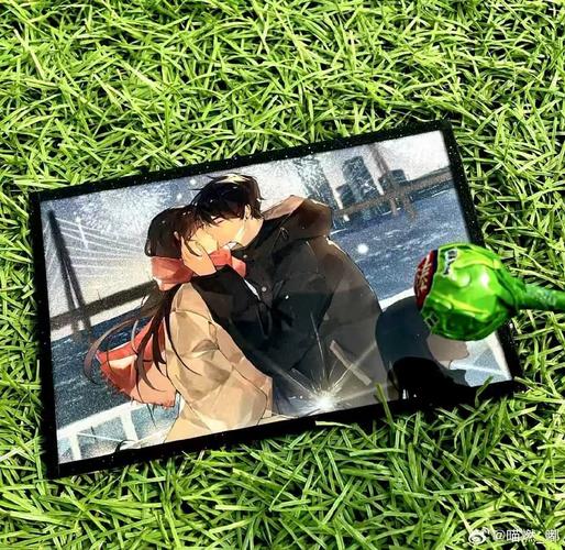 婚约者がい1～2动漫完整版