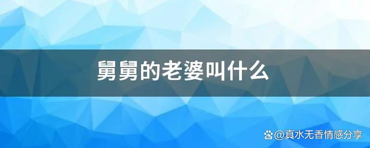 舅舅的老婆缩略图