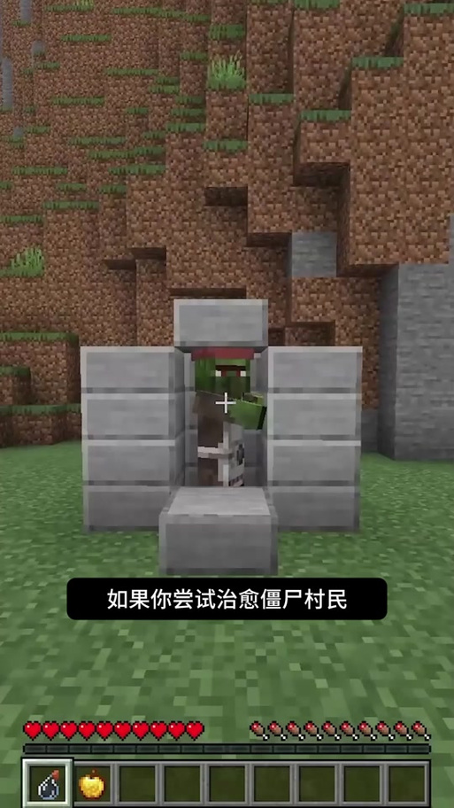 我的世界治愈村民