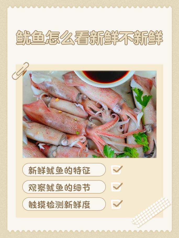 鱿鱼加工后碘含量高么游戏截图