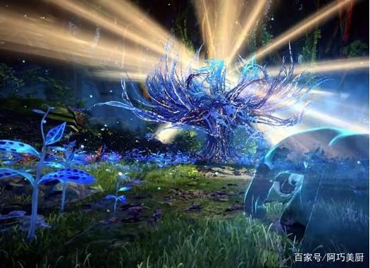 斗罗之穿越签到蓝银皇缩略图