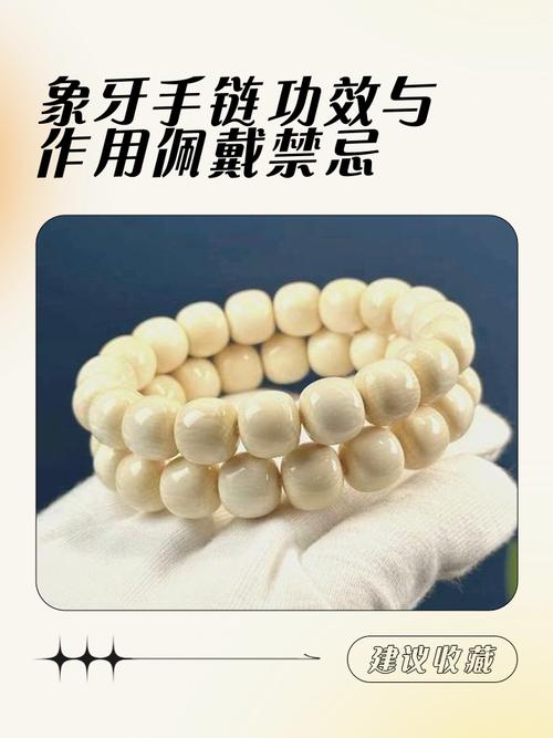 象牙塔里未绑手环是什么意思