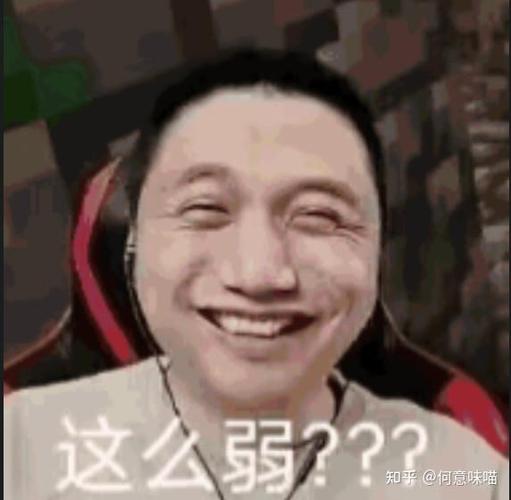 我的世界籽岷多人生存