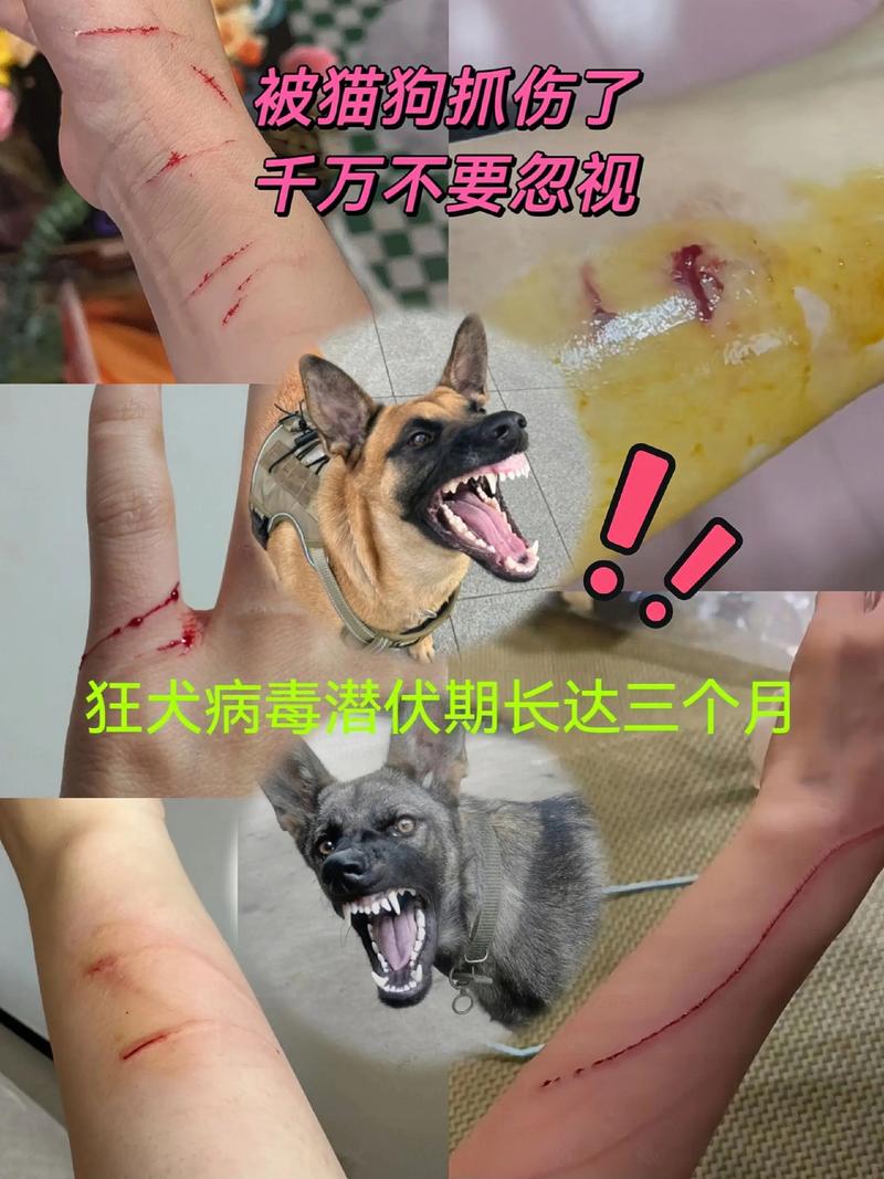 狗狗不停抓痒和啃自己用什么药