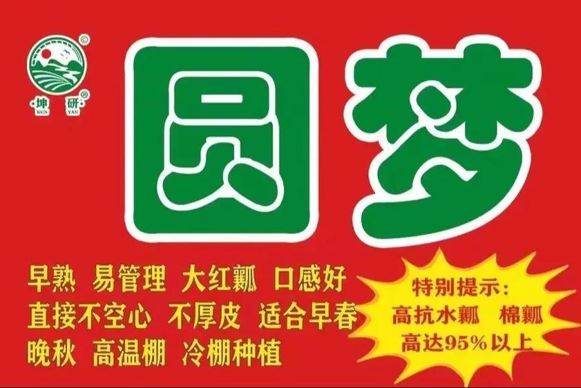 圆梦与梦圆的区别