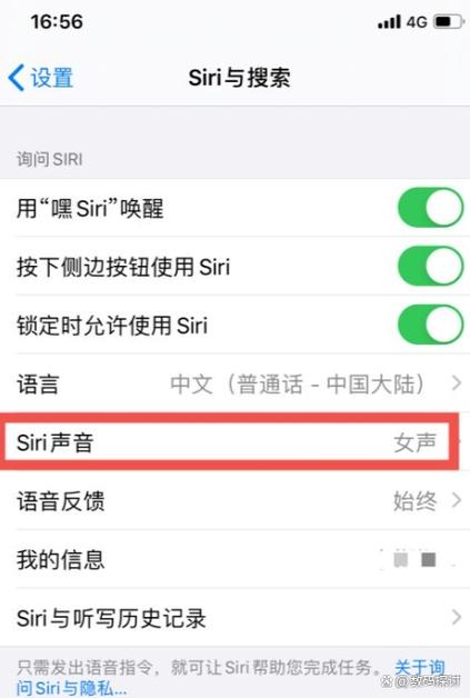 怎么开siri语音控制游戏截图