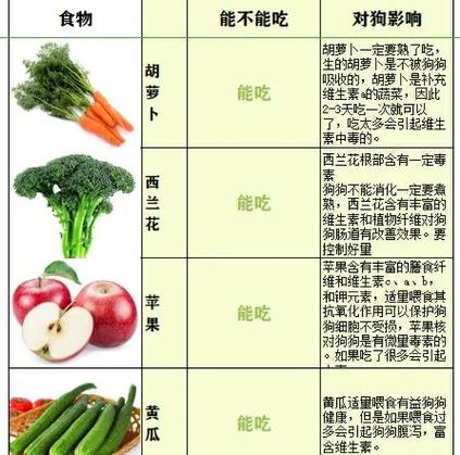 狗误食火腿肠皮和金属圈