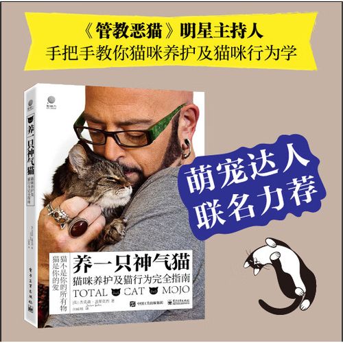 猫咪指南游戏截图