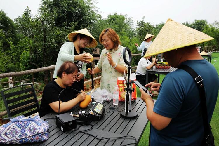 乡村悠闲直播系统缩略图
