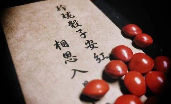 相思豆古诗词