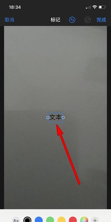 苹果手机有图片提取文字功能吗