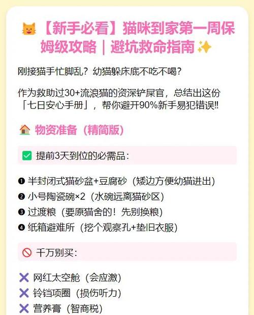 猫刚到家是关着还是散养