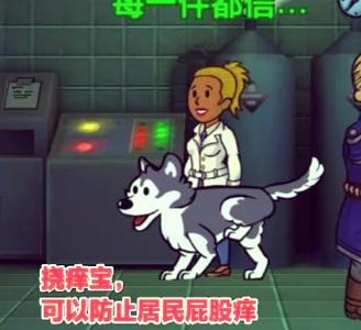 辐射避难所锻炼要多久