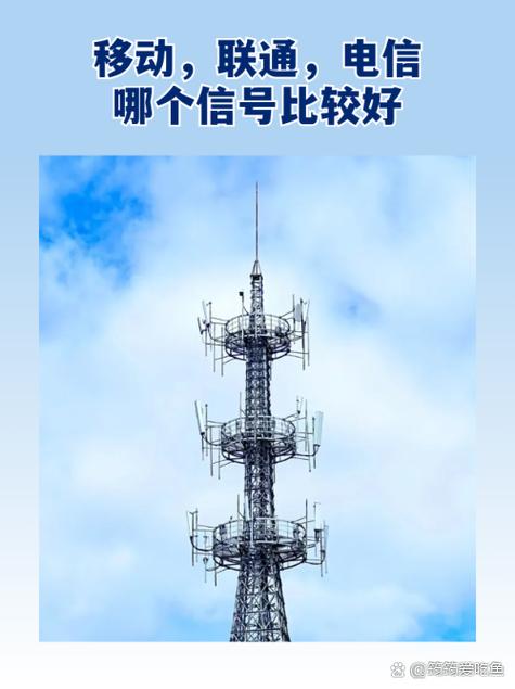 3gnet和3gwap哪个网速快