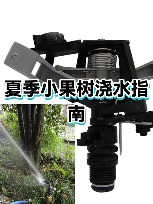 星露谷物语种果树需要浇水吗
