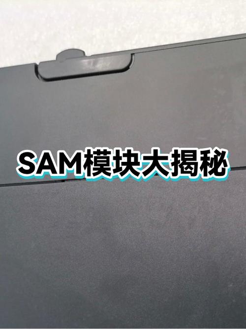 我的世界可以抱东西的模组