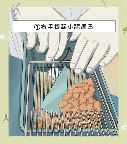 袋鼠校园怎样解绑