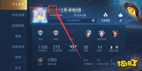 王者荣耀昵称旁边的图标