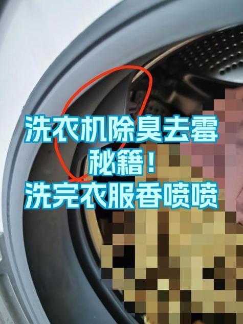 洗衣机内筒有霉斑怎么去除截图