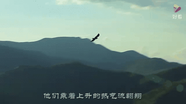 《天空之王》第一季哪里能看