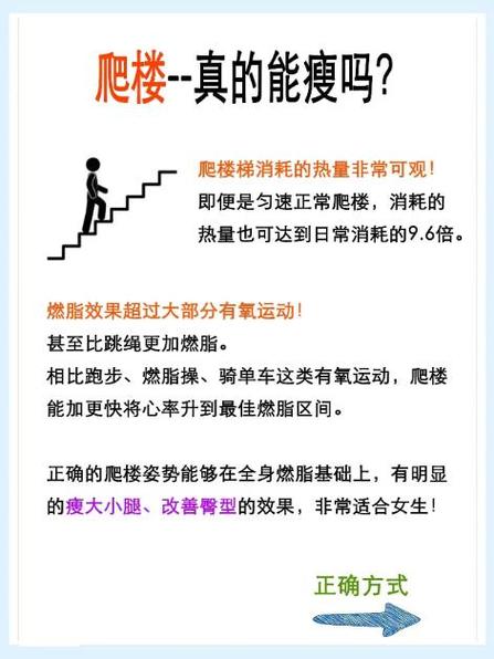 爬楼梯消耗的热量游戏截图