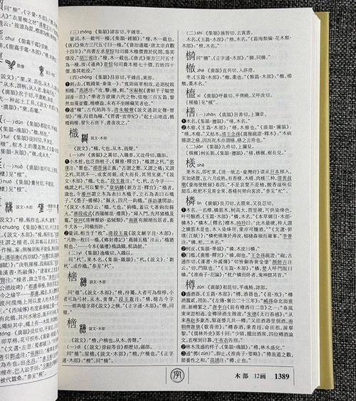 mine汉语意思