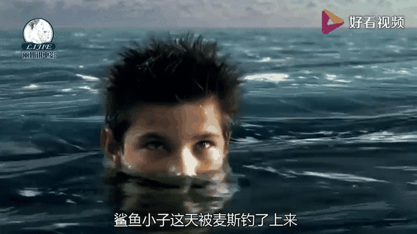鲨鱼小子游戏截图