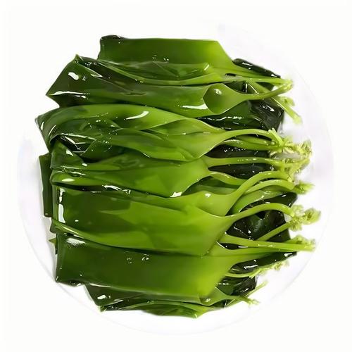 海带宝专业版怎么申请