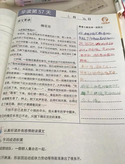 一朵午荷阅读答案