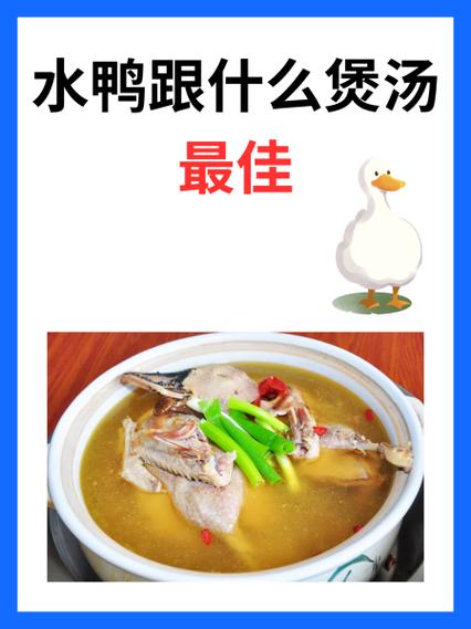 三种人不宜吃水鸭截图