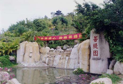 中国菩提园截图