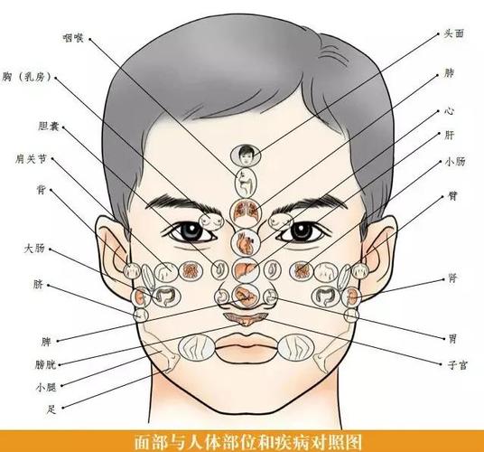 脸部摔破了一般几天可以恢复缩略图