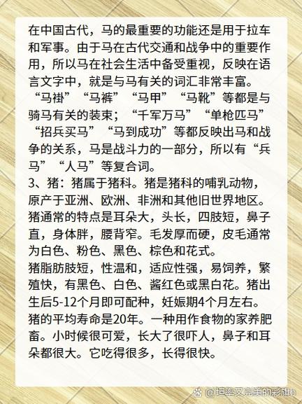 争斤论两怎么不写了