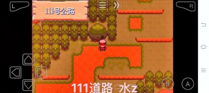 口袋妖怪白2树果哪买