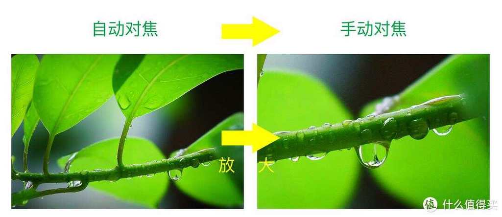 AF—A是什么对焦