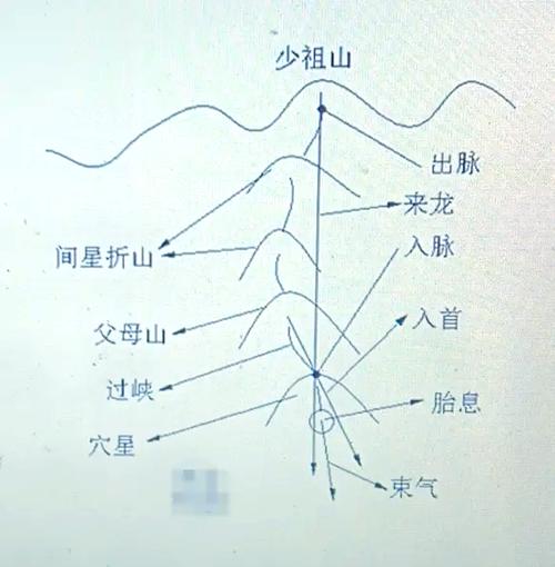 脉稳