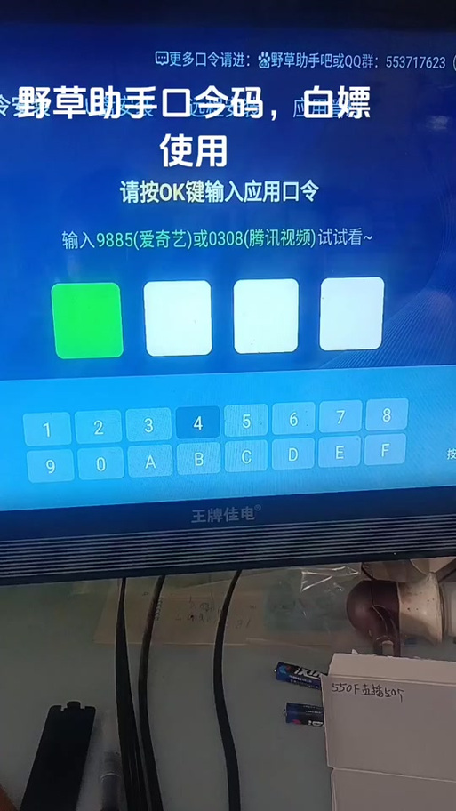 2026电视家野草口令游戏截图