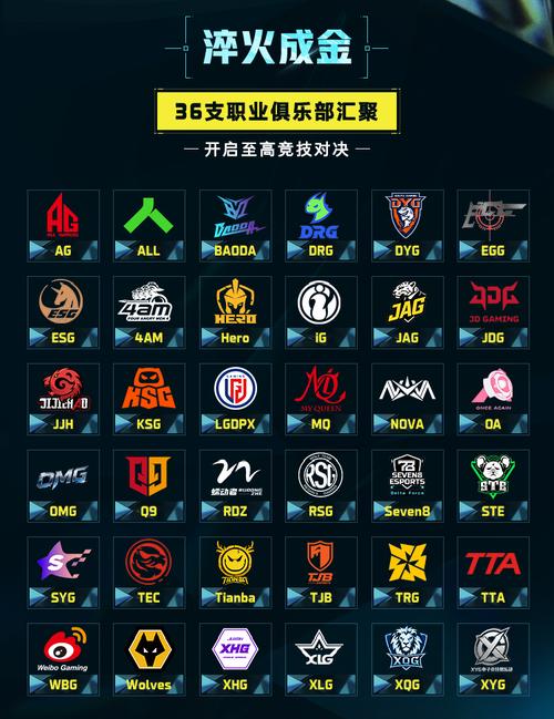cs职业战队排名