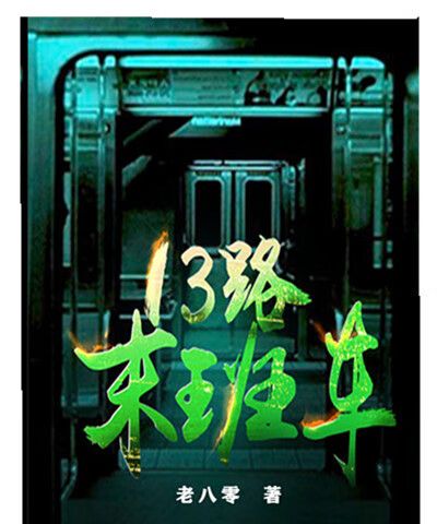 13路末班车 小说