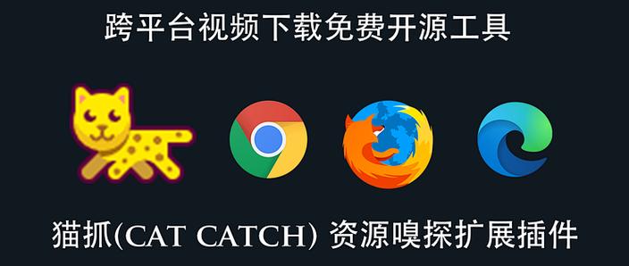 视频嗅探插件