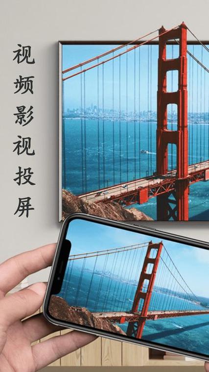 蓝莓投屏截图