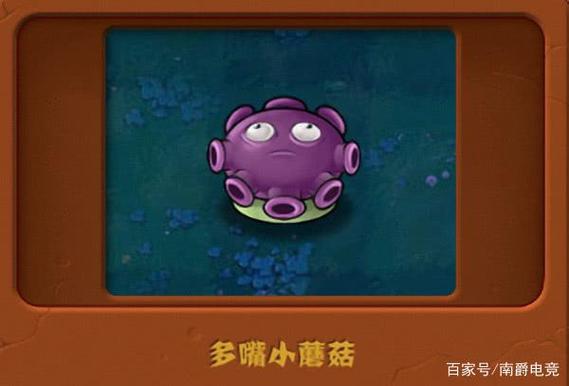 多嘴喷菇怎么用